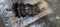 Tiny_whatsapp_image_2025-03-28_at_15.08.14__2_