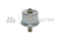 Tiny_19._3829010__1_